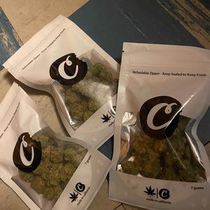 Meet your Posher, Damien